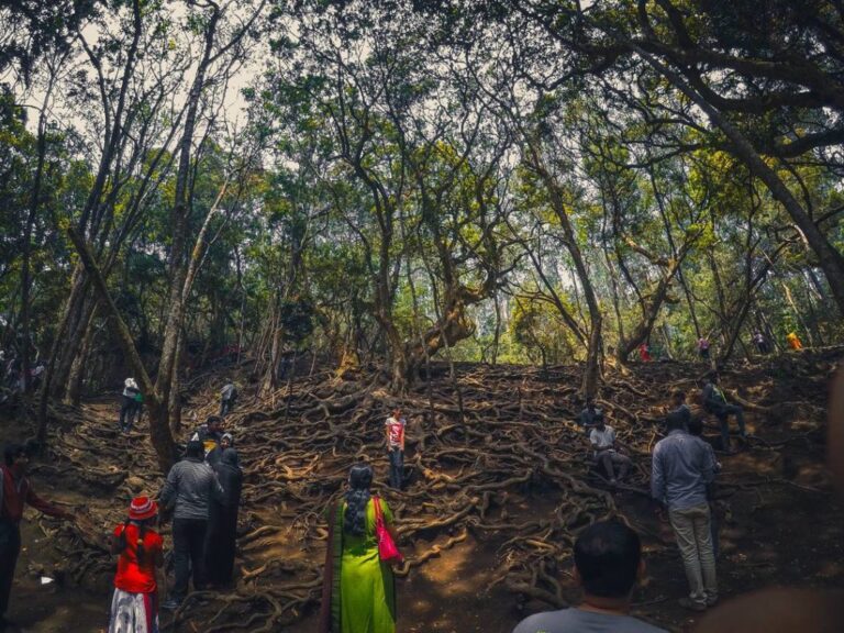 18444009_846748232147796_8843651482839416832_n-1024x768